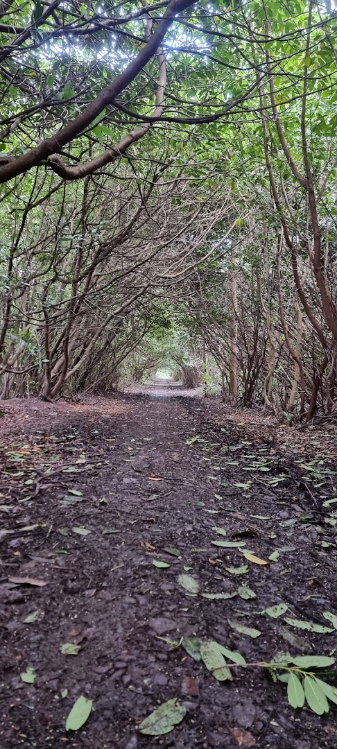 Castlemorris Loop Walk Trailhead