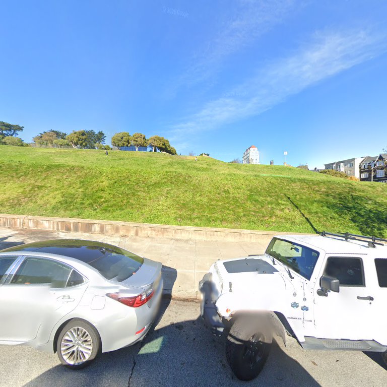 Alta Plaza Dog Play Area in San Francisco