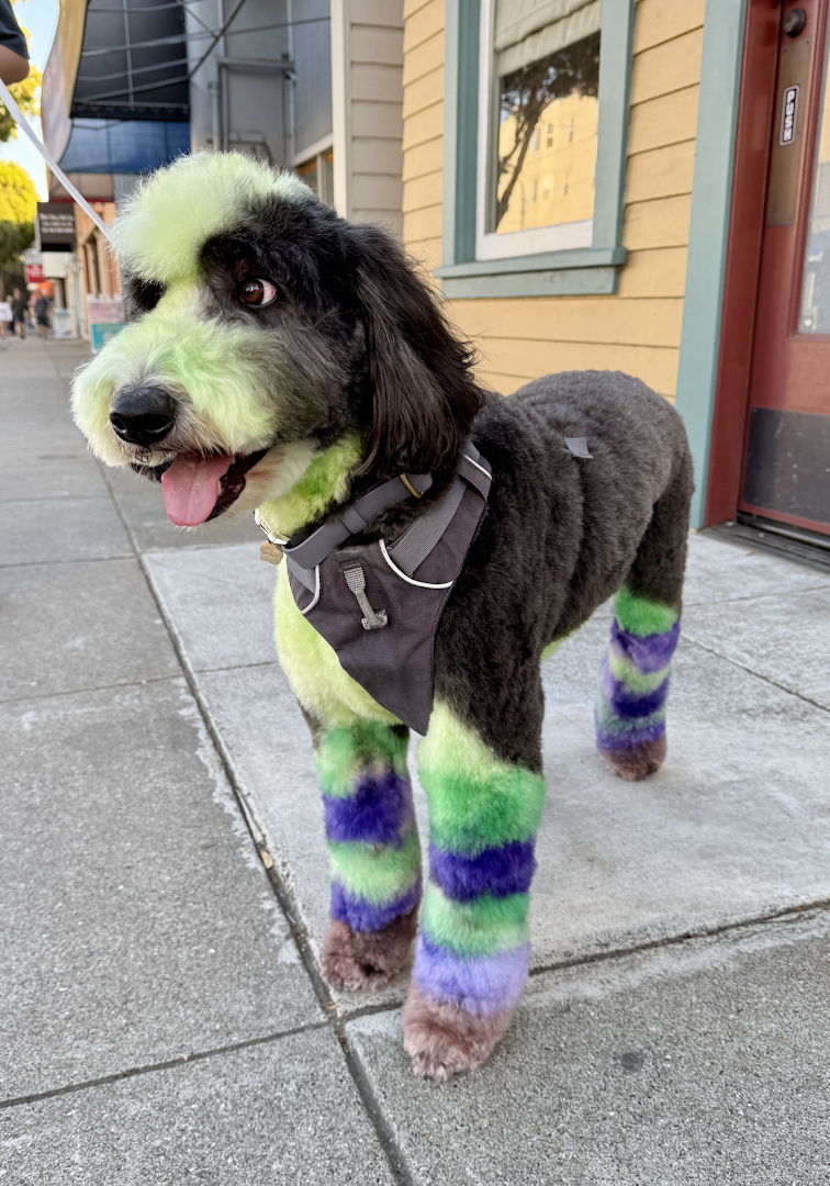 Pawber Shop in San Francisco