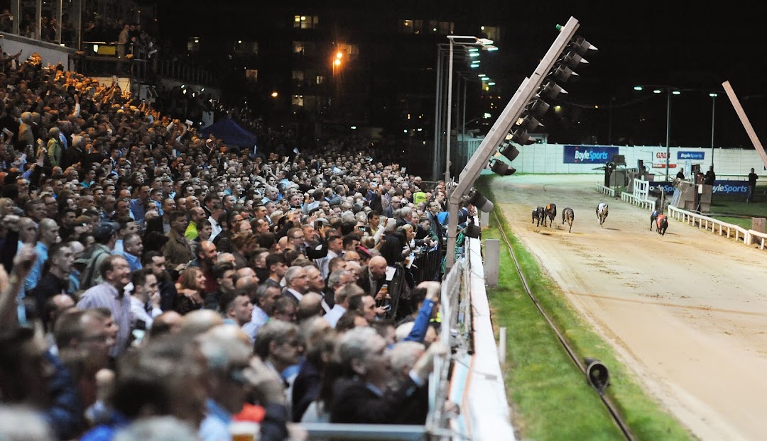 Shelbourne Park Greyhound Stadium in Dublin