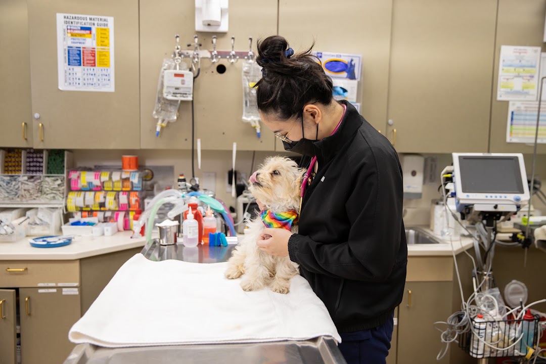 San Francisco Animal Medical Center in San Francisco