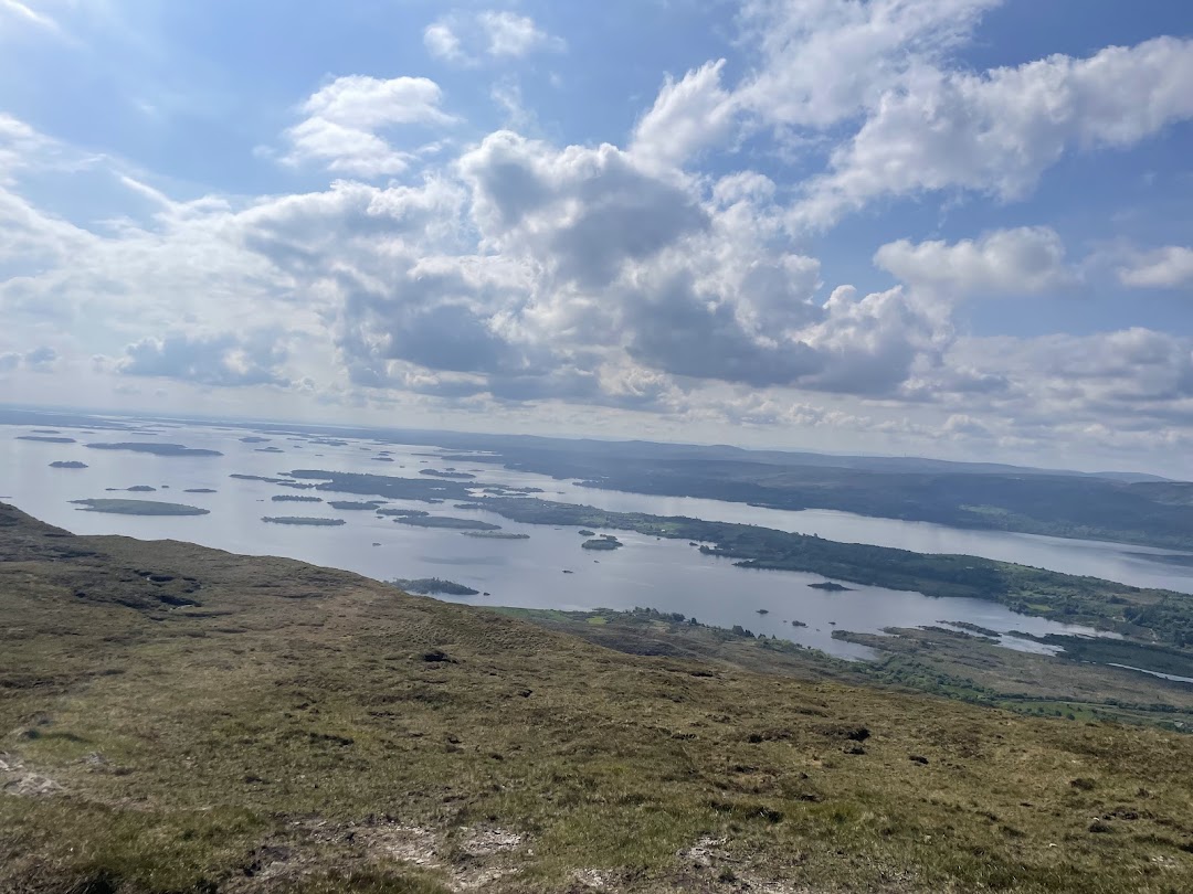 Clonbur Wood in Galway