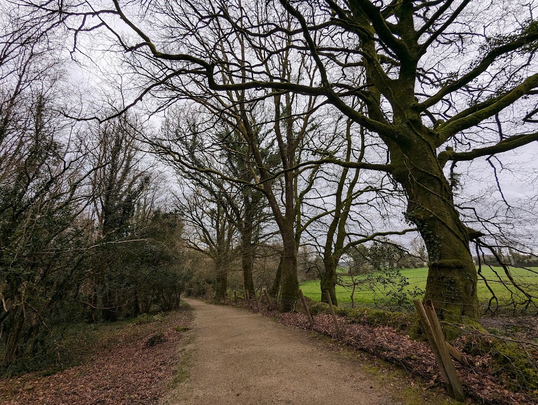Canal Walk Ballyconnel