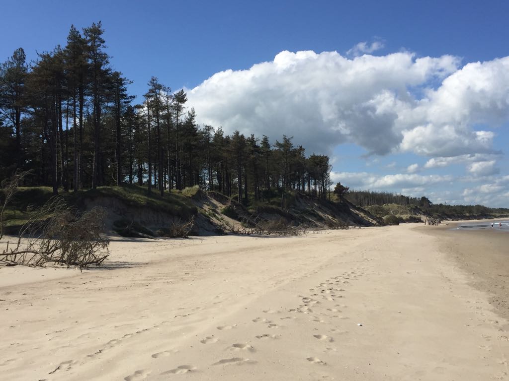 The Raven Nature Reserve