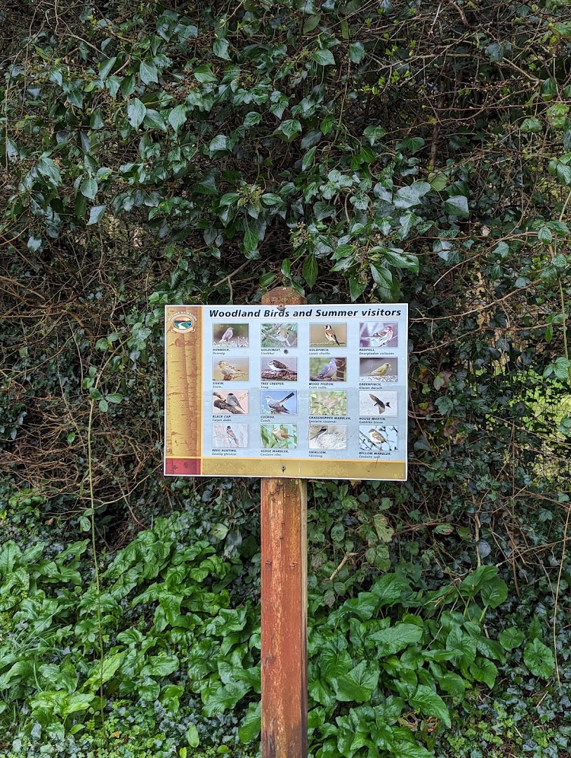 Bóthar na Naomh, Cloone in Ireland
