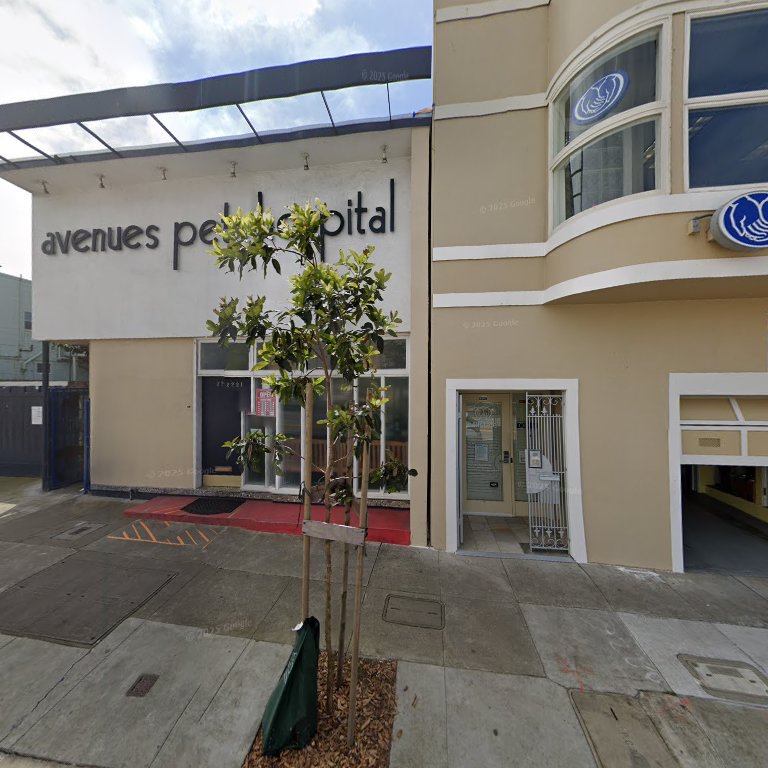 Avenues Pet Hospital: O'Neill Shari B DVM in San Francisco