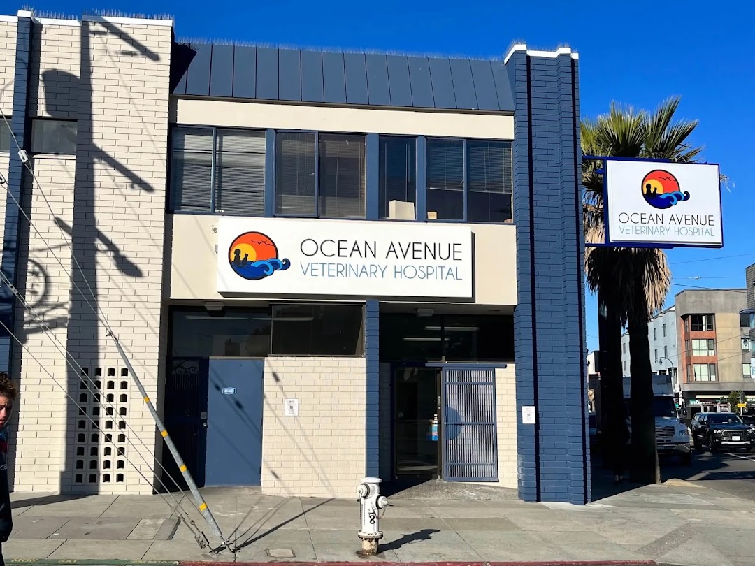 Ocean Avenue Veterinary Hospital in San Francisco