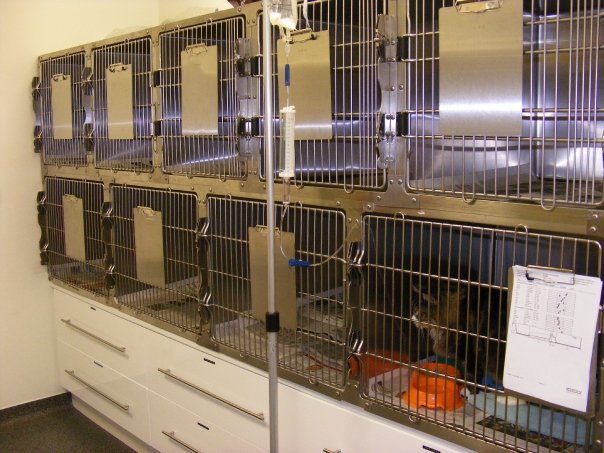 Cara Veterinary Hospital | Blanchardstown Vet | Dublin 15 | Cara Veterinary Group in Dublin