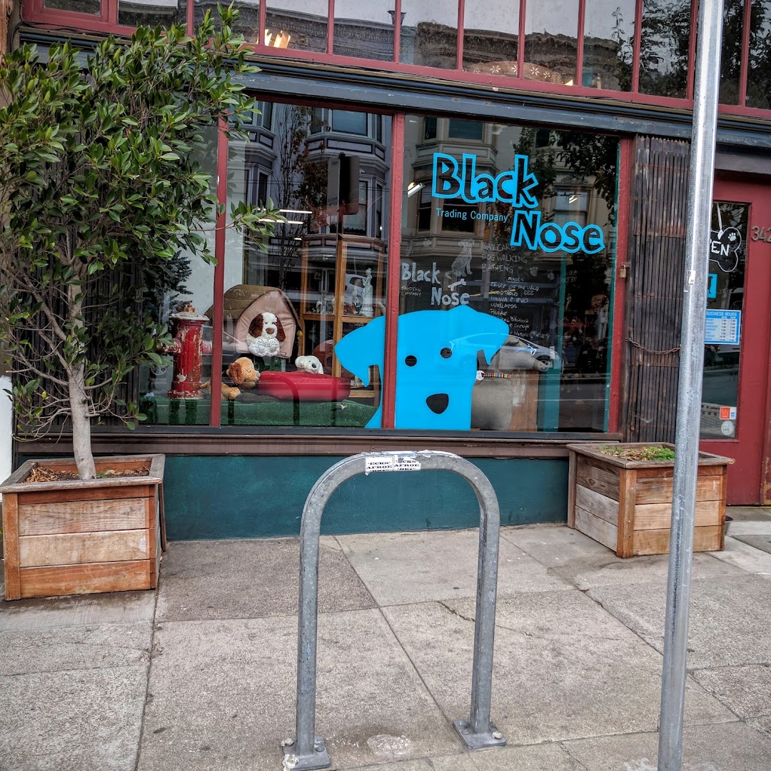 Black Nose Trading Co. in San Francisco