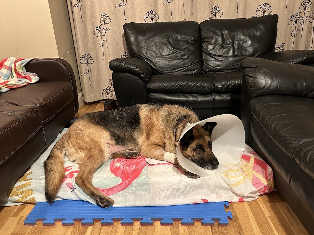 Rathcoole Vet in Dublin