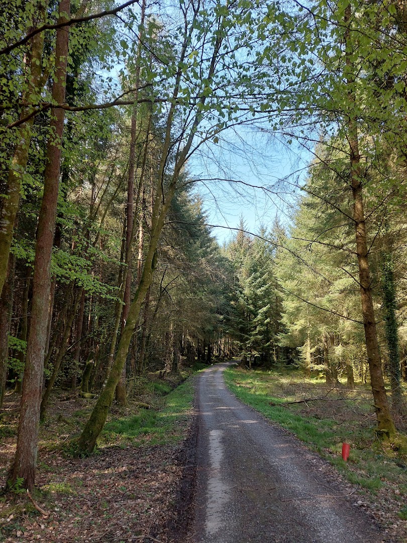 Glenfarne Demesne in Ireland