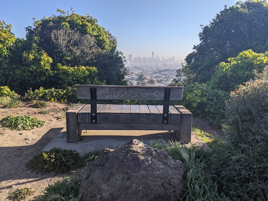 Walter Haas Dog Play Area in San Francisco
