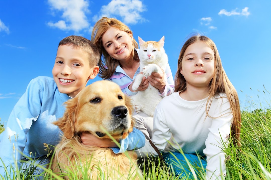Marina Pet Hospital in San Francisco