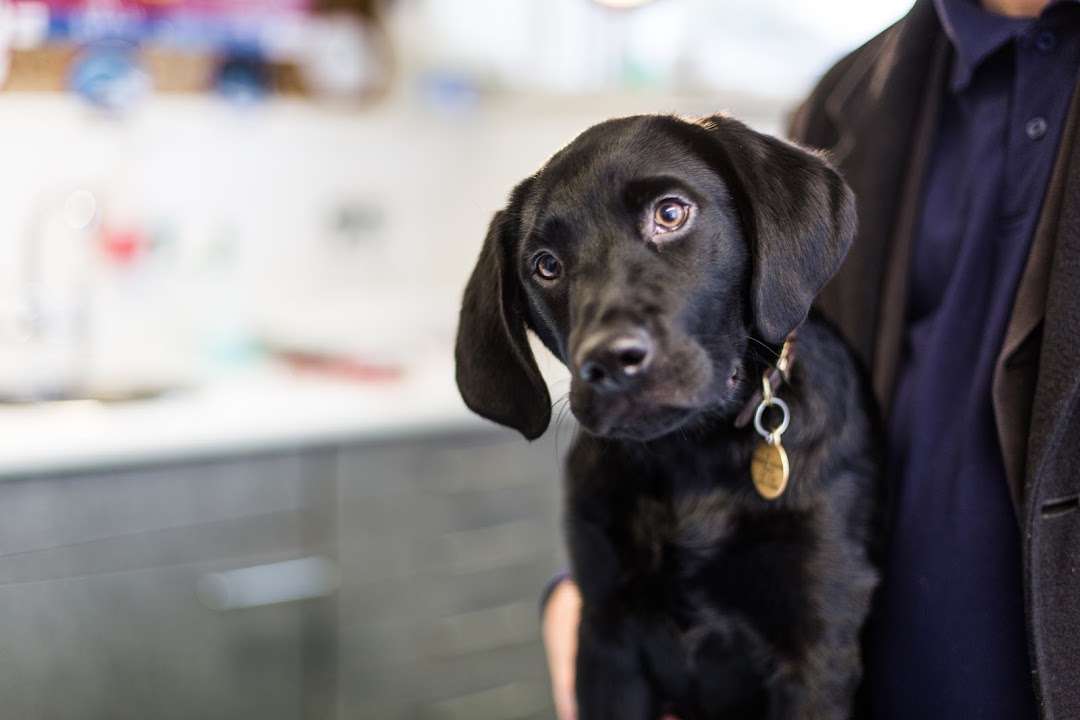 Santry Veterinary Clinic in Dublin