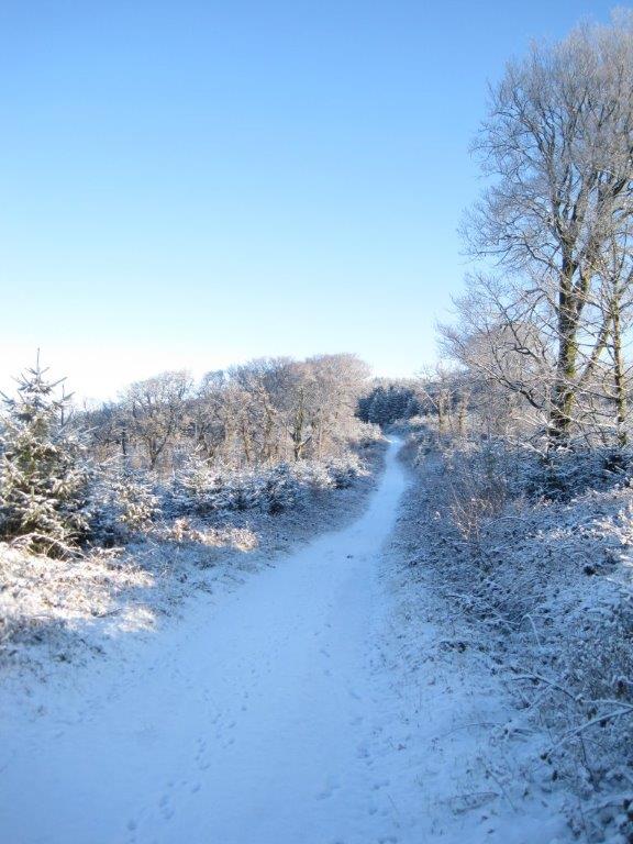 Grange Walks