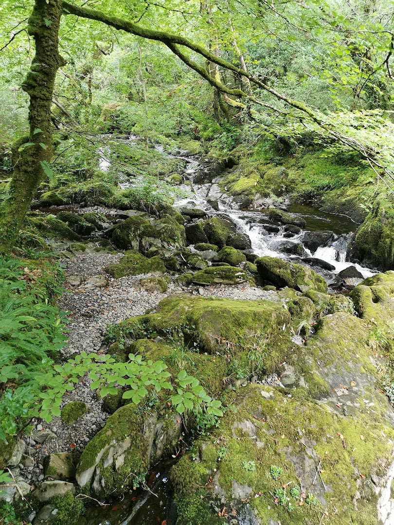 Esknamucky Walk & Waterfall in Cork
