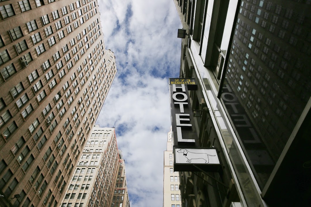 Doxie Hotel in New York