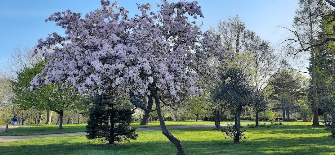 Finsbury Park in London