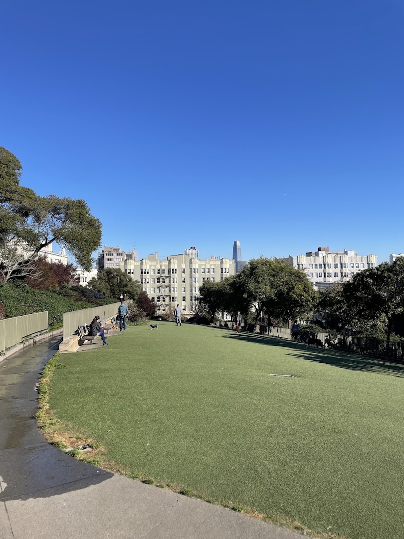 Lafayette Park Dog Play Area in San Francisco