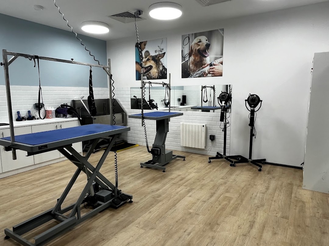 Maxi Zoo Salon Finglas in Dublin