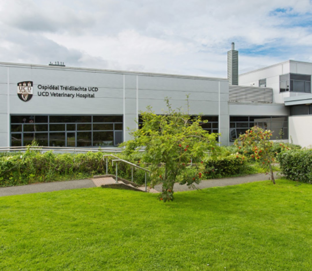 The Pet Emergency Hospital in Dublin