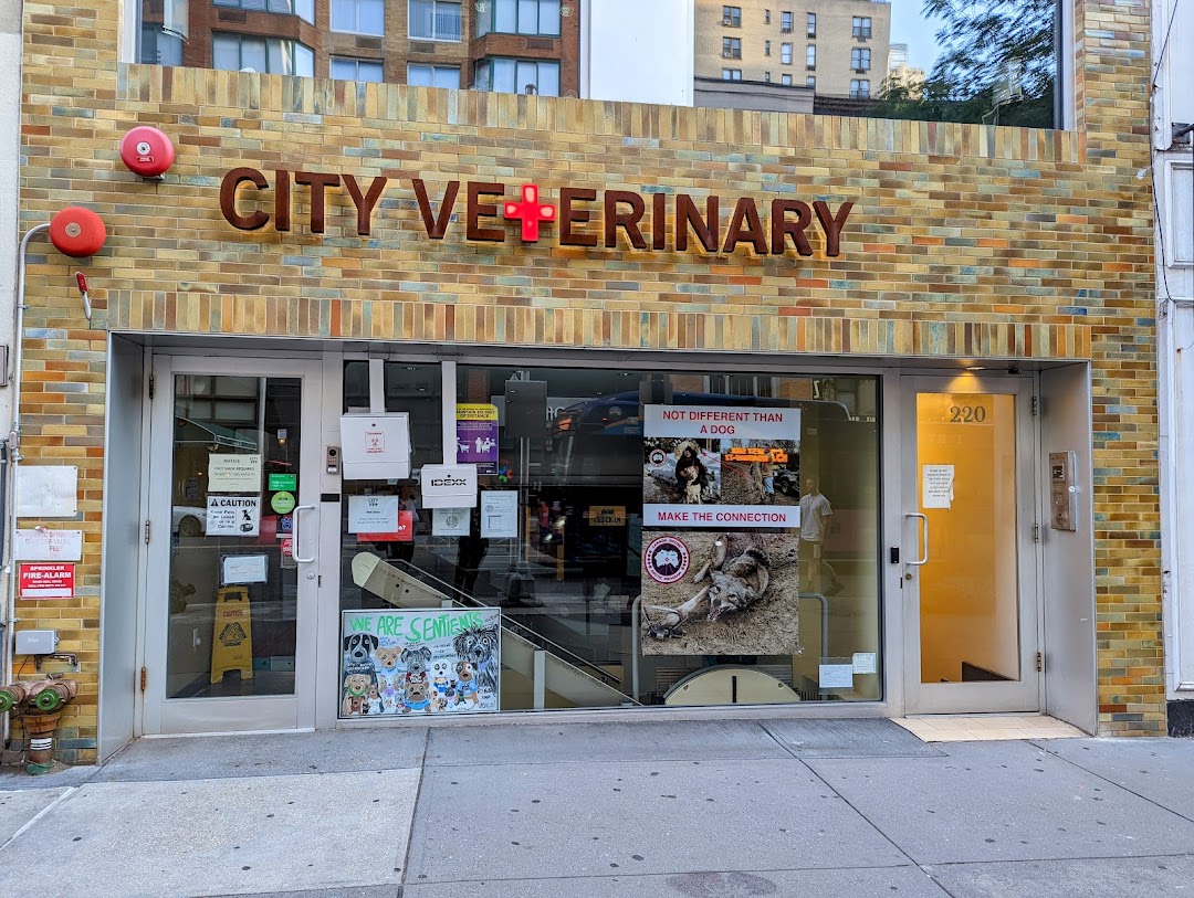 City Veterinary Care in New York