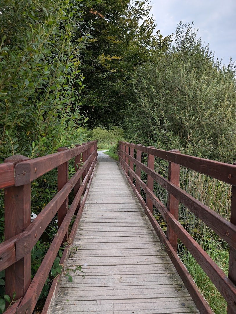 Curragh Chase Forest Park in Ireland
