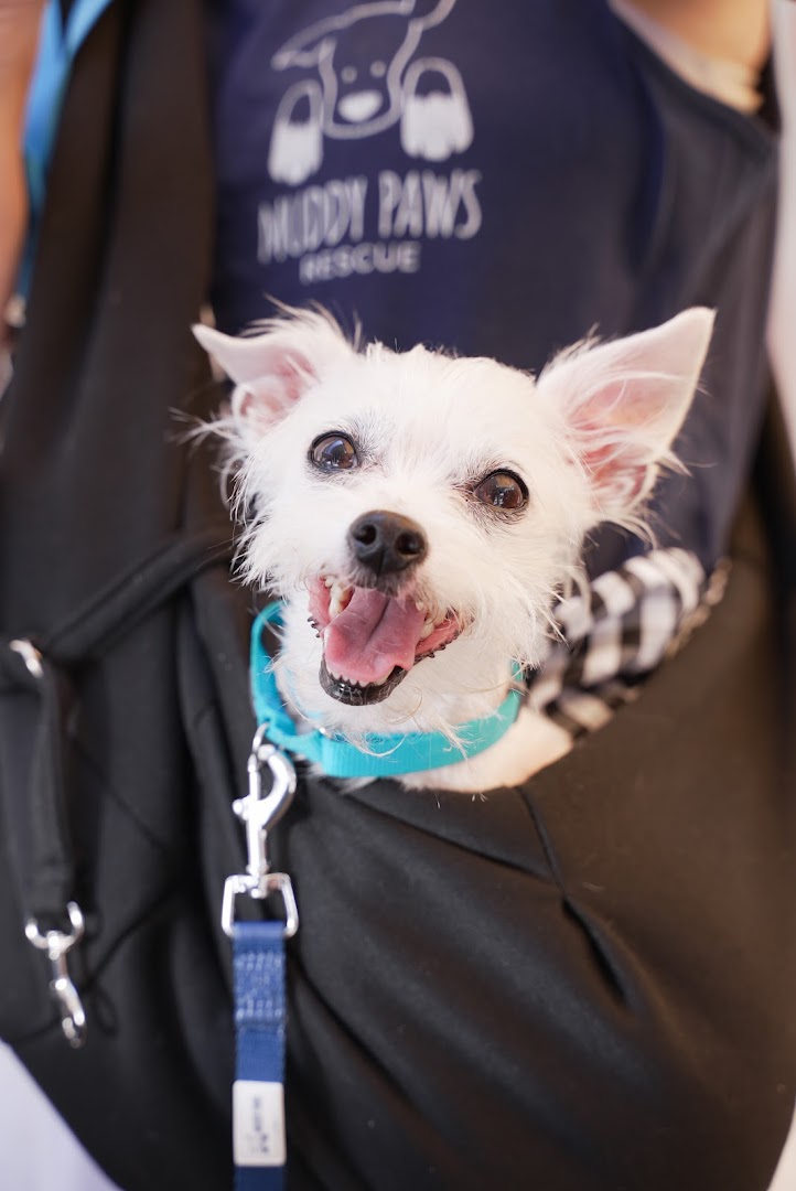 Muddy Paws Rescue