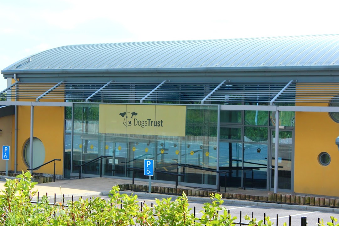 Dogs Trust Ireland in Dublin