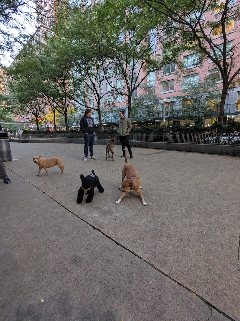 North End Dog Run🐕 in New York