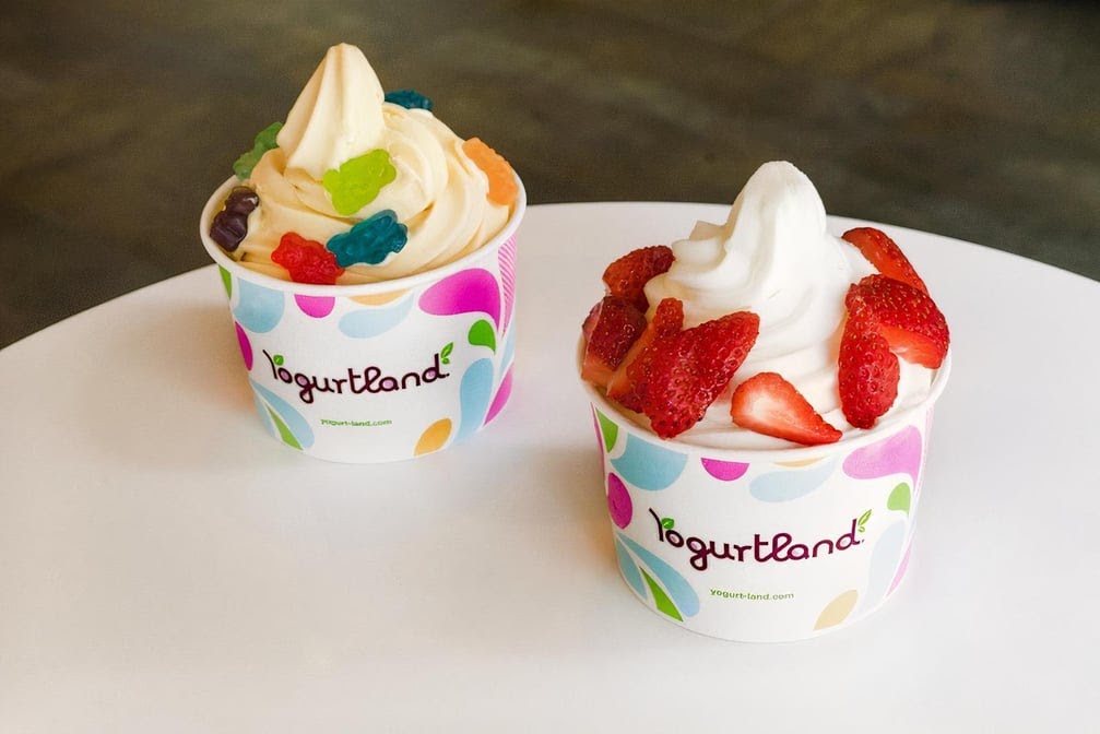 Yogurtland Wilshire & Vermont in Los Angeles
