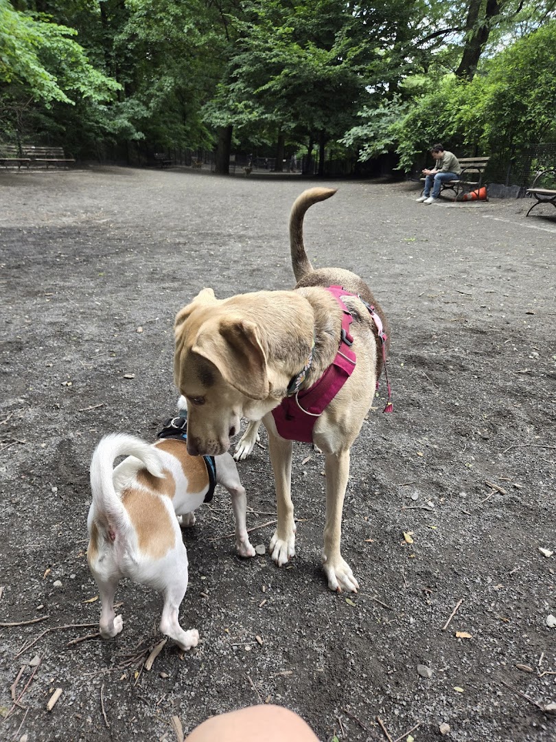 West 87th Street Dog Run in New York