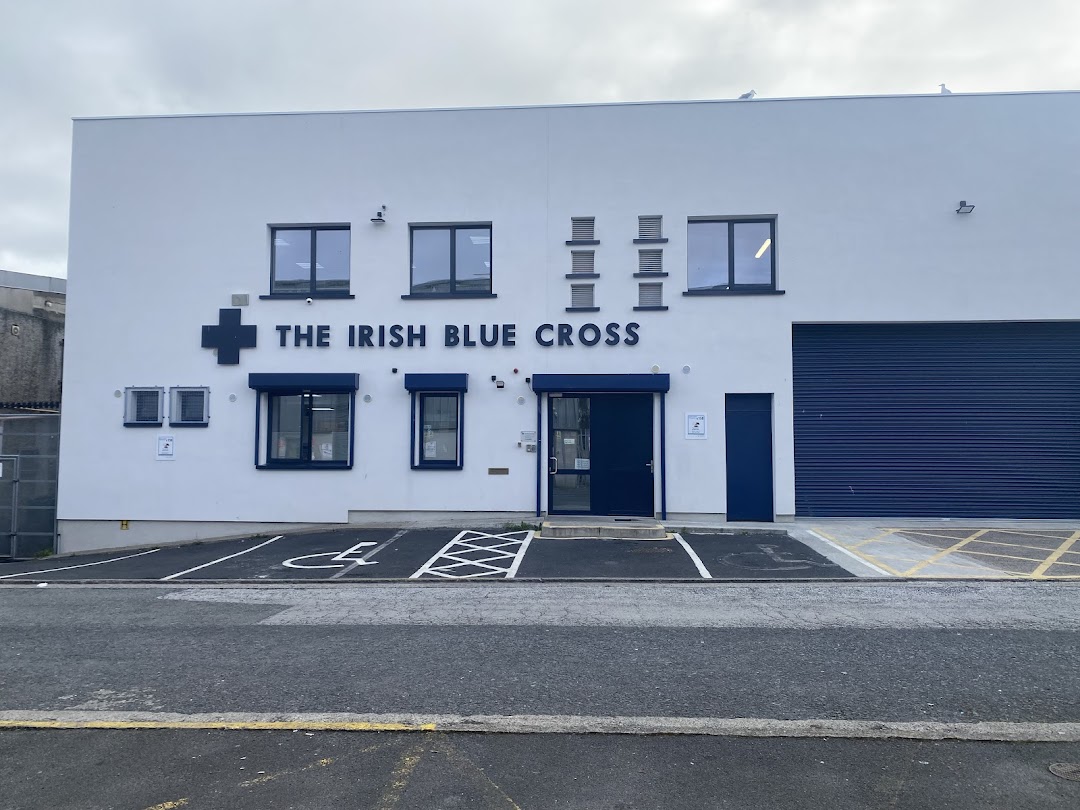 The Irish Blue Cross in Dublin