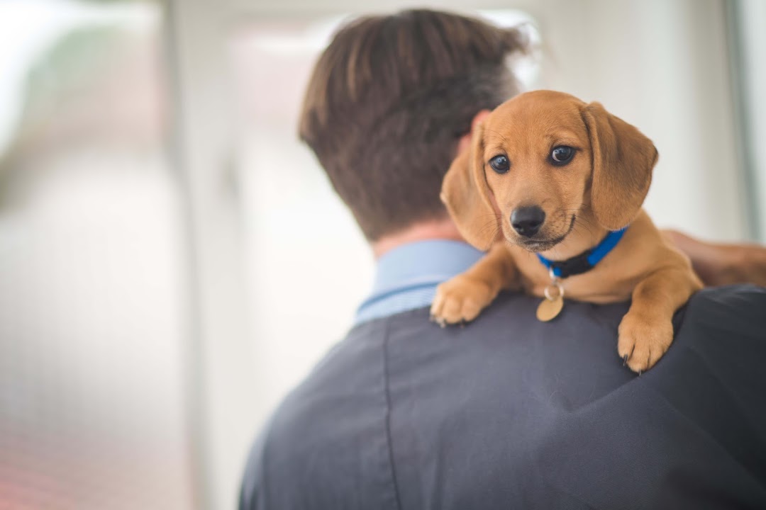 Cherrywood Veterinary Clinic in Dublin