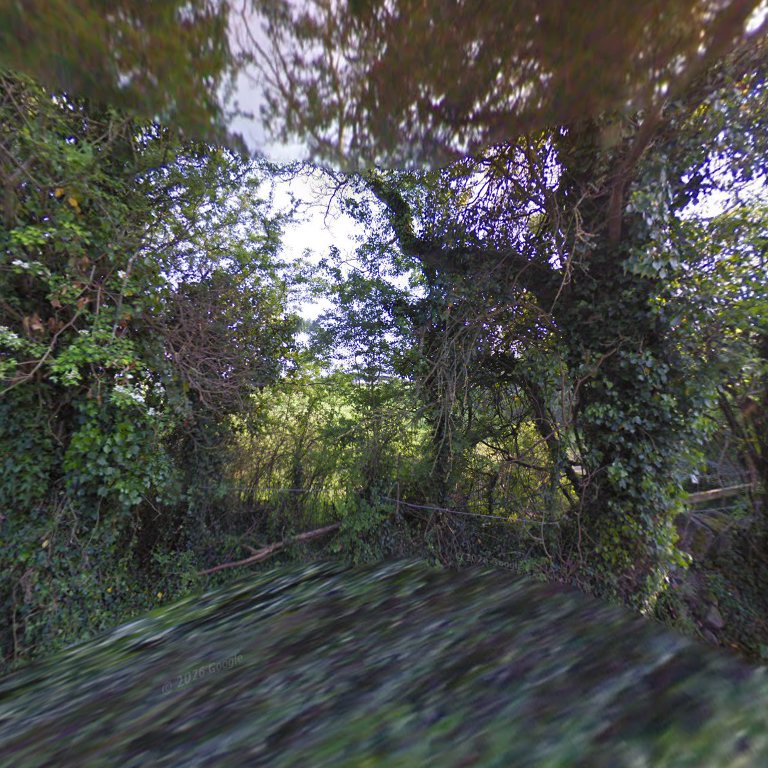 Rinnagan Loop Walk