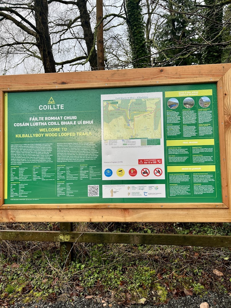 Kilballyboy Wood