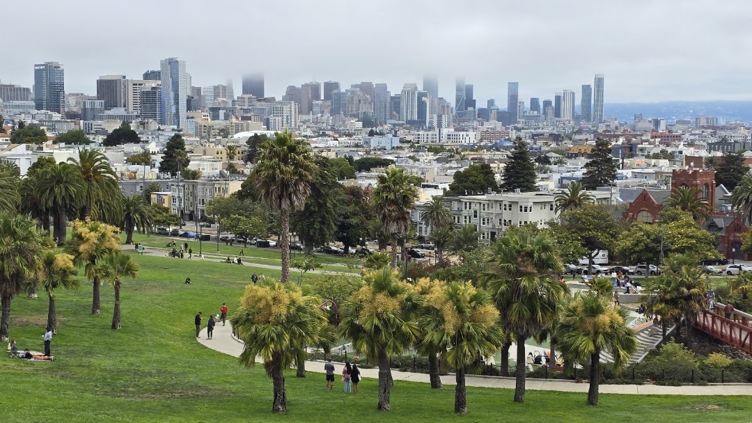 Mission Dolores Dog Play Area South in San Francisco