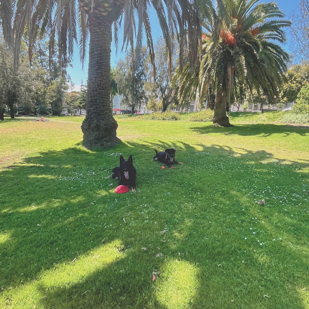 Jefferson Square Dog Play Area in San Francisco