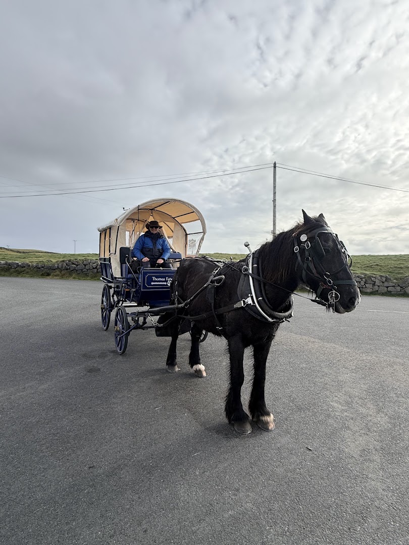 Thomas Faherty Tours in Galway