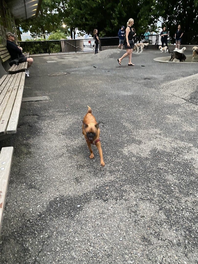 Sirius Dog Run in New York