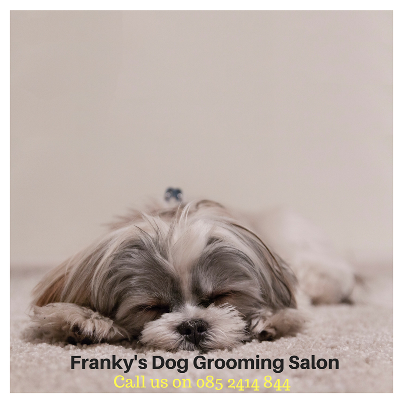 Franky's Dog Grooming Salon in Dublin