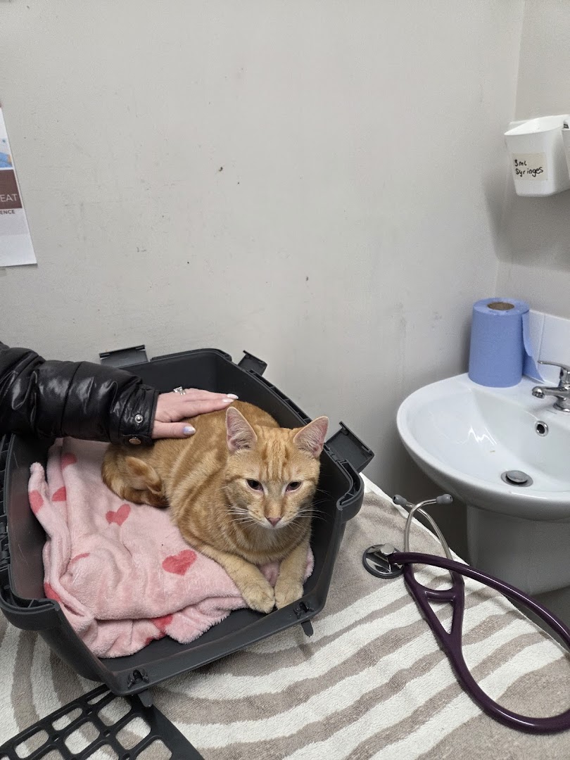 Ark Vetcare Dun Laoghaire
