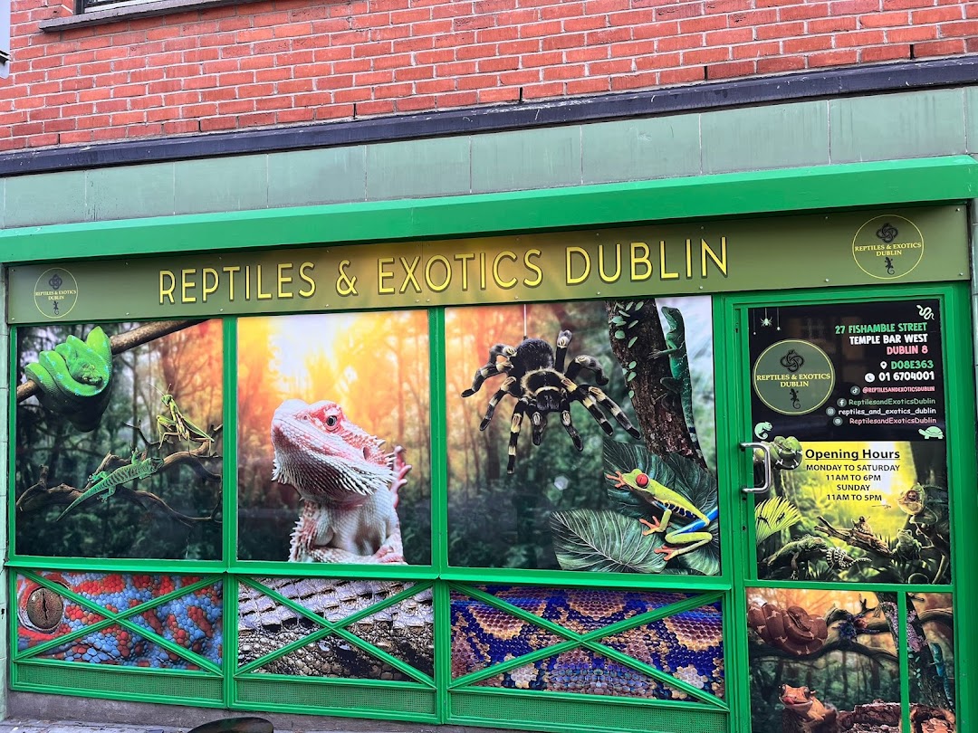 REPTILES AND EXOTICS DUBLIN
