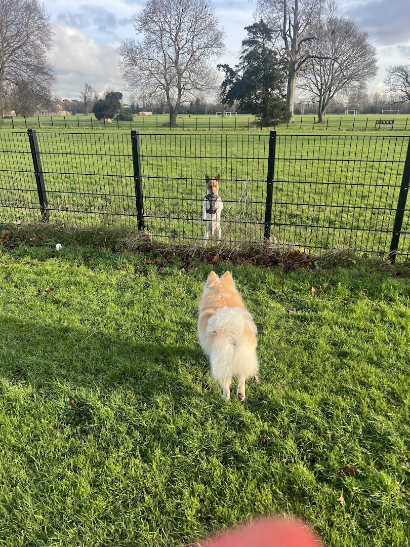 Collinstown Park Dog Run in Dublin