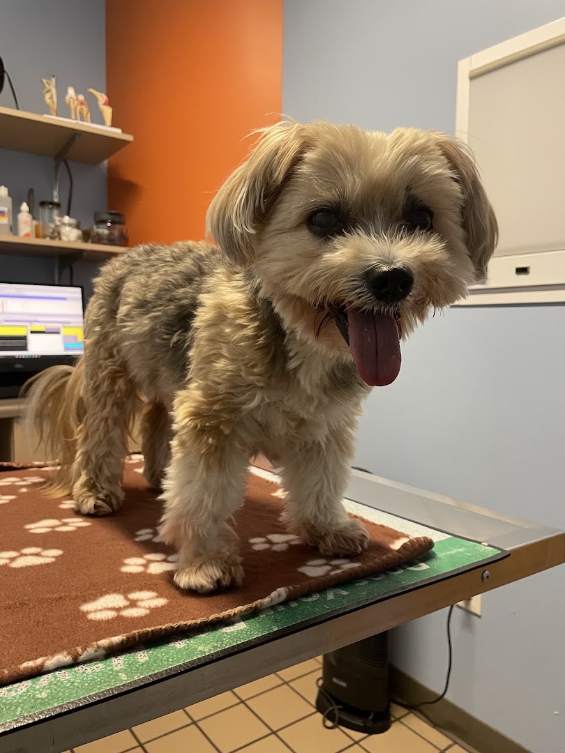 Healthy Pets Veterinary Hospital in San Francisco