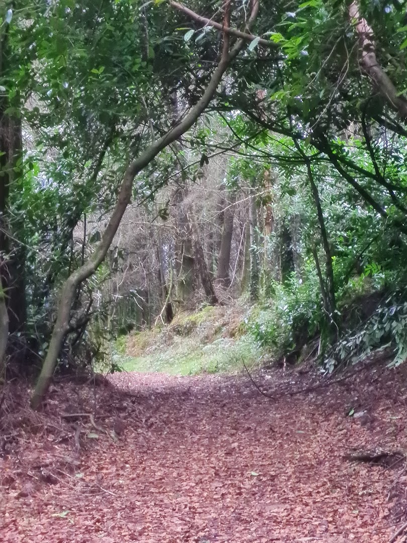 Carrickbyrne Hill in Ireland