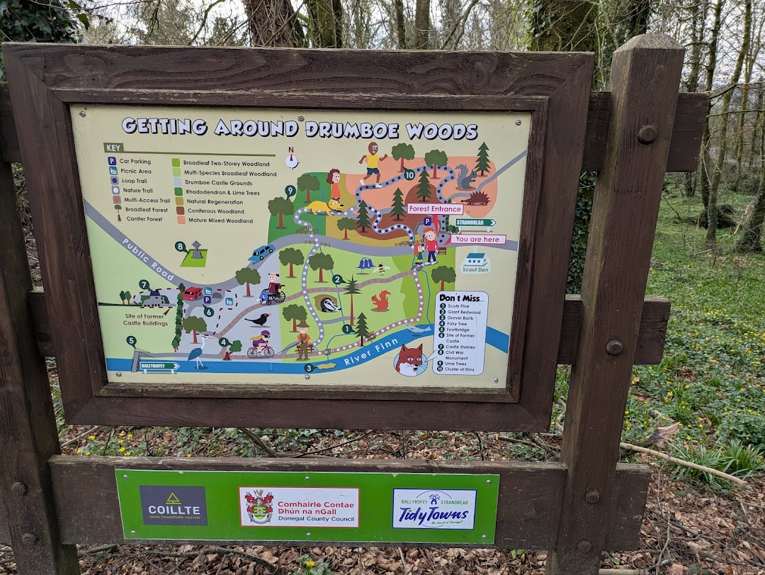 Drumboe Woods