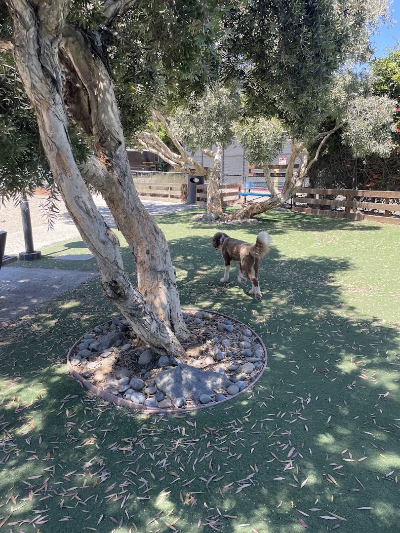 Berry Street Dog Park in San Francisco
