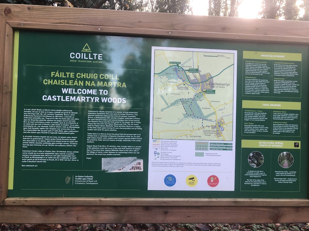 Castlemartyr Forest Recreation Area in Cork