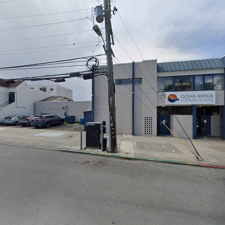 Ocean Avenue Veterinary Hospital: William J Rivers DVM in San Francisco